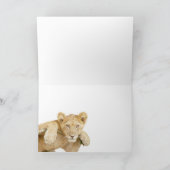 木(Ishasha、ウガンダ)の幸せな休日のライオンの子 シーズンカード (内部)