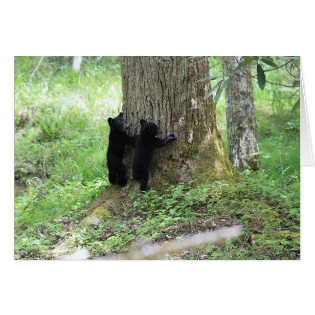 木Huggers (正面横)