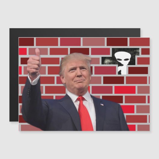 未おもしろい文書化の移民ウォールギャグ😂 UFO (正面/裏面)