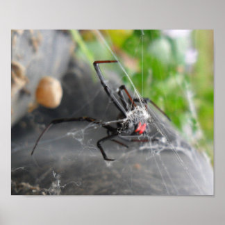 未亡人のポーズ ポスター