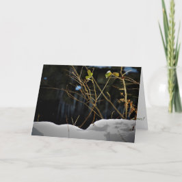 「未公開のミネソタ」クリスマスカード カード