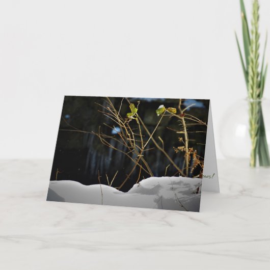 「未公開のミネソタ」クリスマスカード カード (正面)