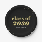 未処理クラス編集可能カラーグラードパーティープレート ペーパープレート (正面)