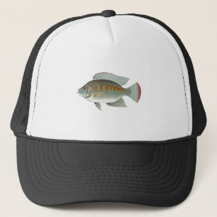 未加工シーフードのイズミダイの魚のベクトル キャップ