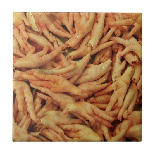 未加工鶏の足 タイル (正面)