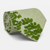 未婚の毛のシダの葉状体 ネクタイ (ロール)