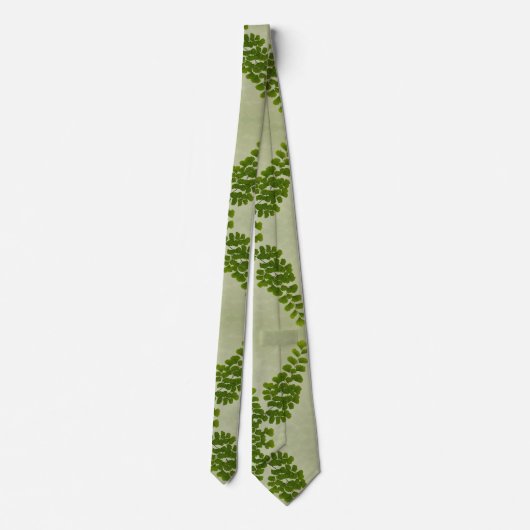 未婚の毛のシダの葉状体 ネクタイ (裏面)