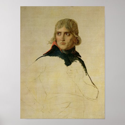 未完のポートレートオブゼネラルボナパルト ポスター (正面)