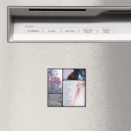 未完の原稿 マグネット (インサイチュ (食洗機))