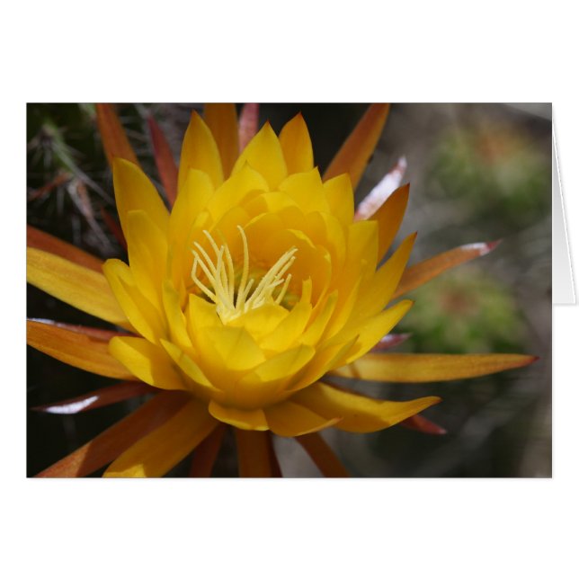 未定義 (正面横)