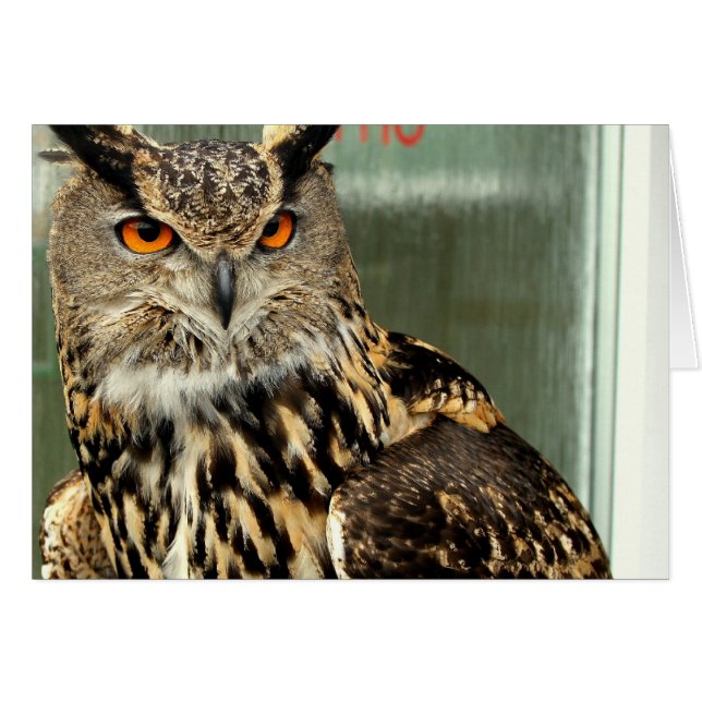 未定義 (正面横)