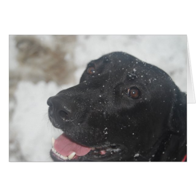 未定義 (正面横)