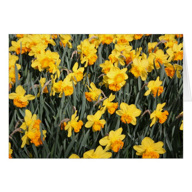 未定義 (正面横)