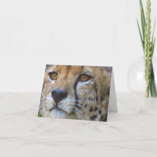 未定義 カード (正面)