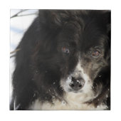 未定義 タイル (正面)