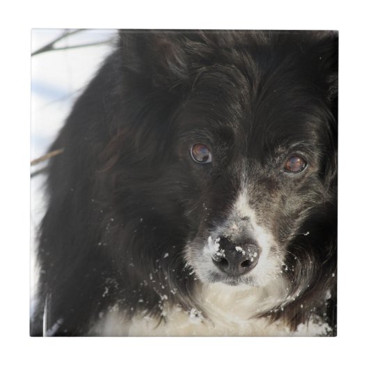 未定義 タイル (正面)