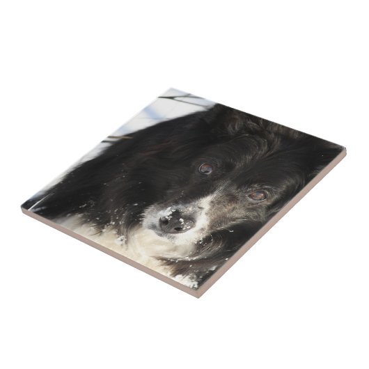 未定義 タイル (側面)