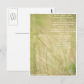 未定義 ポストカード (正面/裏面)