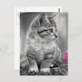 未定義 ポストカード (正面/裏面)