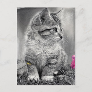 未定義 ポストカード