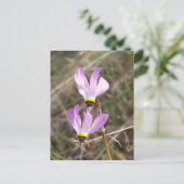 未定義 ポストカード (スタンド正面)