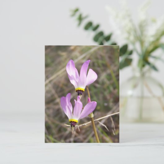 未定義 ポストカード (スタンド正面)