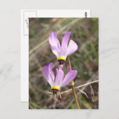 未定義 ポストカード (正面/裏面)