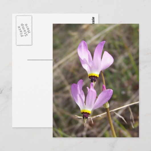 未定義 ポストカード (正面/裏面)