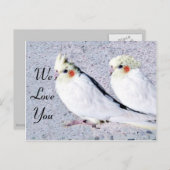 未定義 ポストカード (正面/裏面)