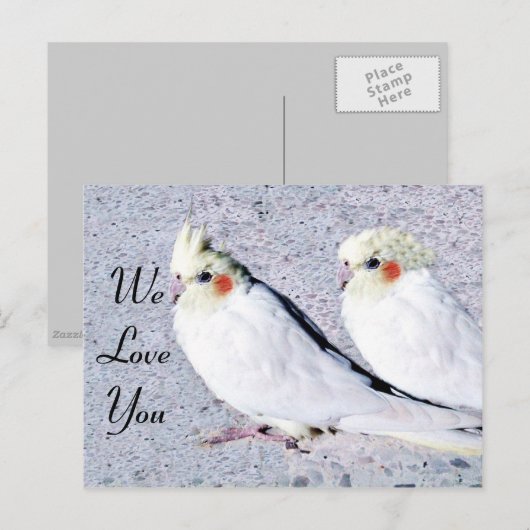 未定義 ポストカード (正面/裏面)