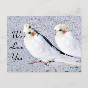 未定義 ポストカード