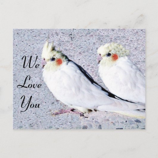 未定義 ポストカード (正面)