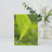 未定義 ポストカード (スタンド正面)