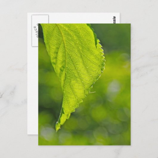 未定義 ポストカード (正面/裏面)