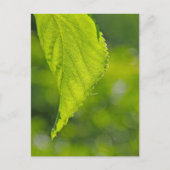 未定義 ポストカード (正面)