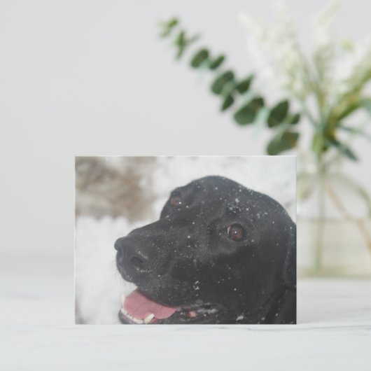 未定義 ポストカード (スタンド正面)