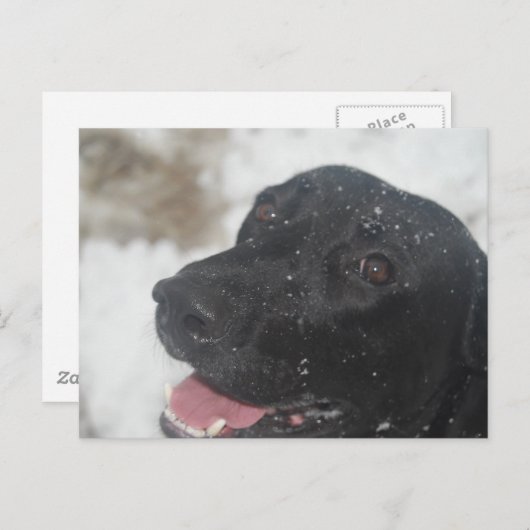 未定義 ポストカード (正面/裏面)