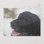 未定義 ポストカード (正面)