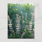 未定義 ポストカード (正面)