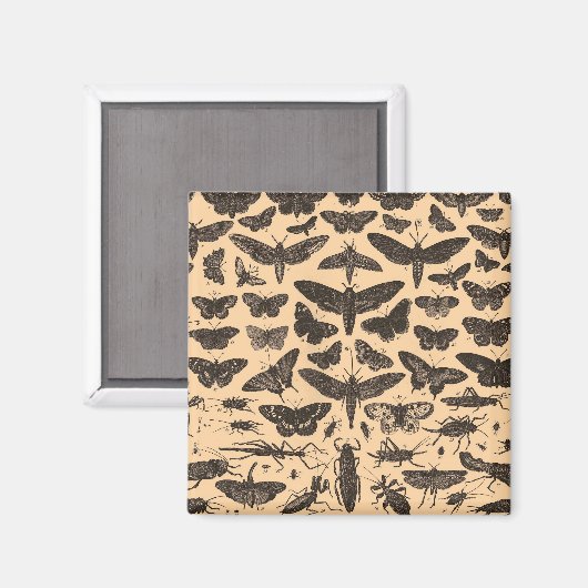 未定義 マグネット (正面/裏面)