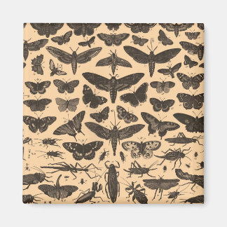 未定義 マグネット