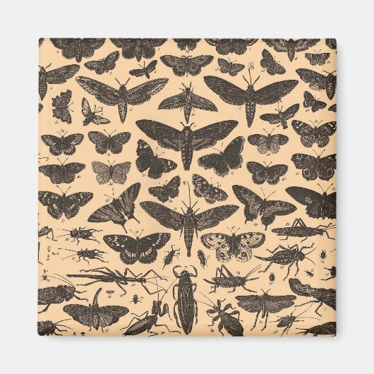 未定義 マグネット (正面)