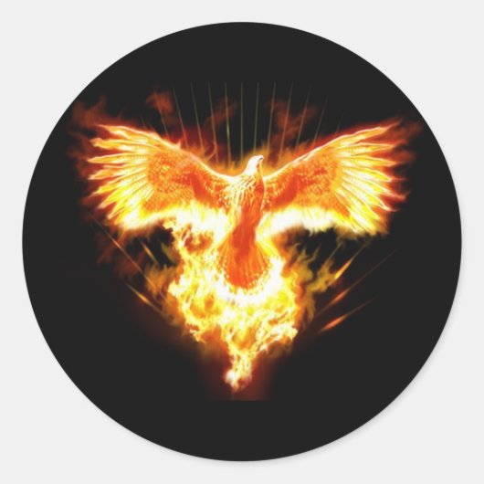 未定義 ラウンドシール (正面)