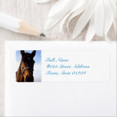 未定義 ラベル (インサイチュ)