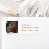 未定義 ラベル (インサイチュ)