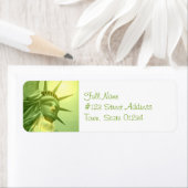 未定義 ラベル (インサイチュ)