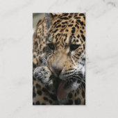 未定義 名刺 (裏面)