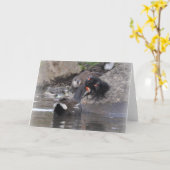 未成年者およびひよこを持つMoorhen カード (黄色い花)