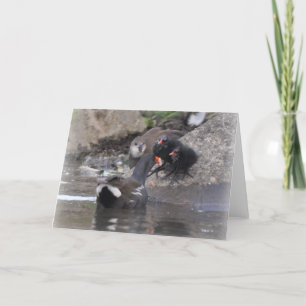 未成年者およびひよこを持つMoorhen カード