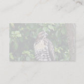 未成年者によって赤後につかれるタカ 名刺 (裏面)